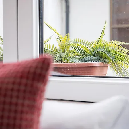 Guestready - Homely In * Porto