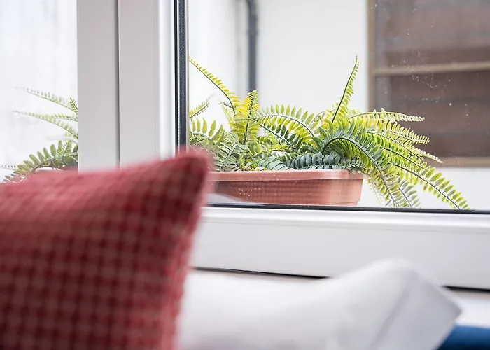 Guestready - Homely In * Porto